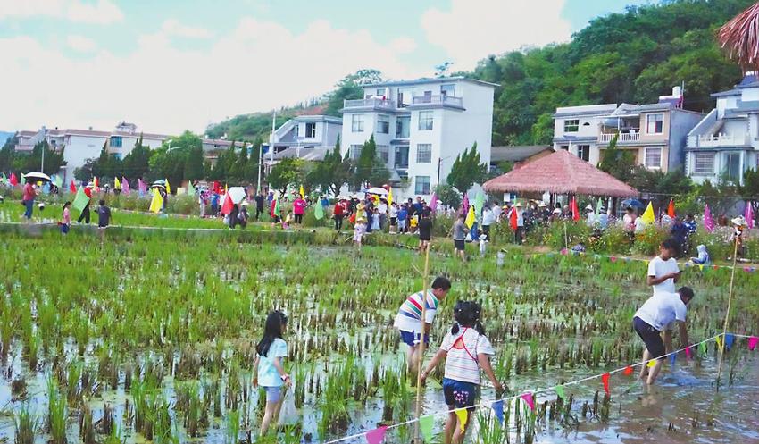 永昌社区：多措并举谱写乡村振兴新篇章