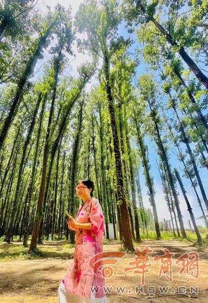 高温下的避暑胜地 西安郊区有片“绿野仙踪”