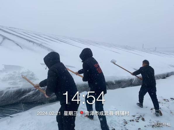 齐心协力战风雪，人保财险山东省分公司全力应对罕见雨雪冰冻恶劣天气