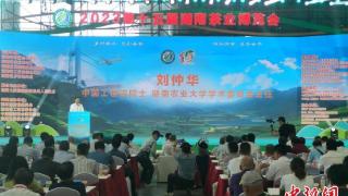 第十五届湖南茶业博览会开幕 助力乡村振兴