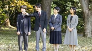 从日本首相到皇室宗亲，再到地方大族，出了事就让家里女人“背锅”