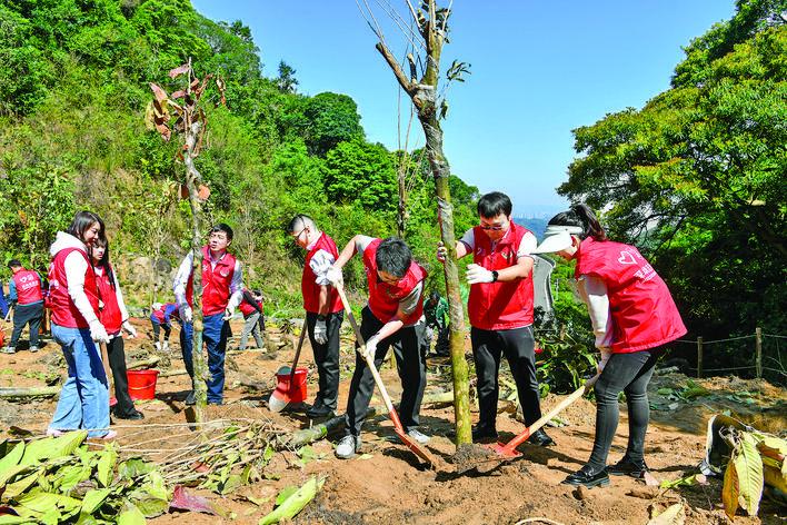 植树迎春 友谊常青