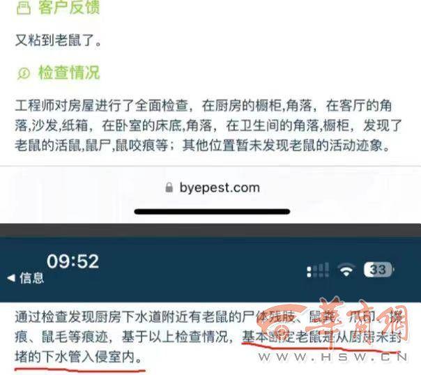 责任谁承担？水电翻新留“漏洞”10余只老鼠做窝居民家 房主称被啃坏物品损失8万元