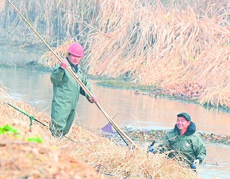 鱼跳人忙是丰年