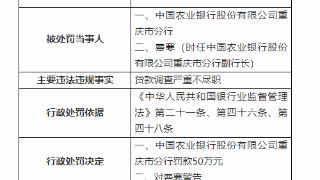 因贷款调查不到位，农业银行重庆市分行被罚50万元