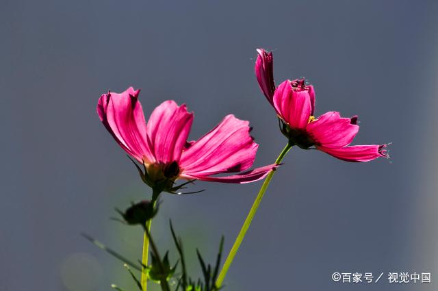 没钱时，敢于在这三处“下狠手”的人，大多能翻身