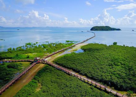 我国将组织申报国际重要湿地和国际湿地城市