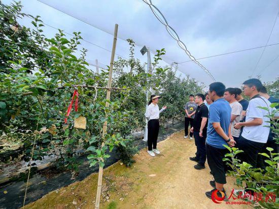 跟着总书记看中国丨山沟沟里日子越过越红火