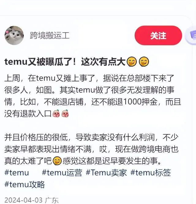 拼多多和Temu赢麻了，是对新质生产力的巨大讽刺