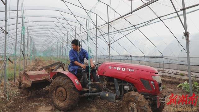 石期市镇蒋家村蔬菜种植基：“一村一品”促增收