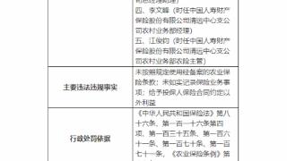 因未如实记录保险业务事项等，中国人寿财险清远支公司被罚25万