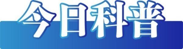 今日辟谣｜上海市郊发生“野猪攻击人”事件？