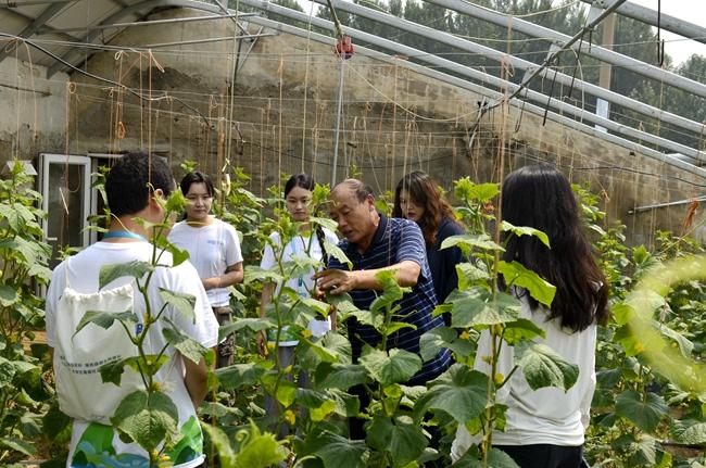 千余名大学生走进北京平谷开展暑期乡村实践