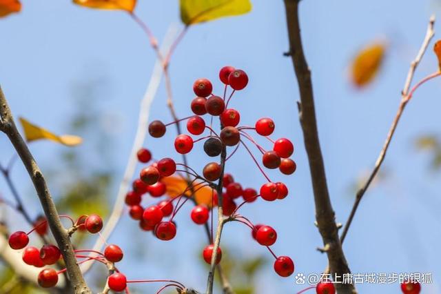 若是有来生，你是否虔诚，苦守一生，只为一人