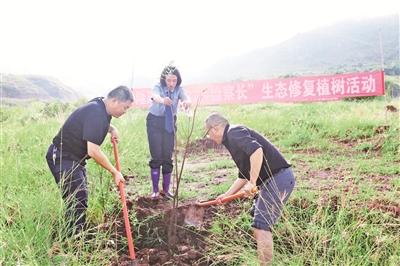 隆阳“林长+检察长”保护生态效果好