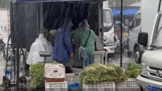 雨天不断供 批发市场提前设排水装置、蔬菜供应不断档