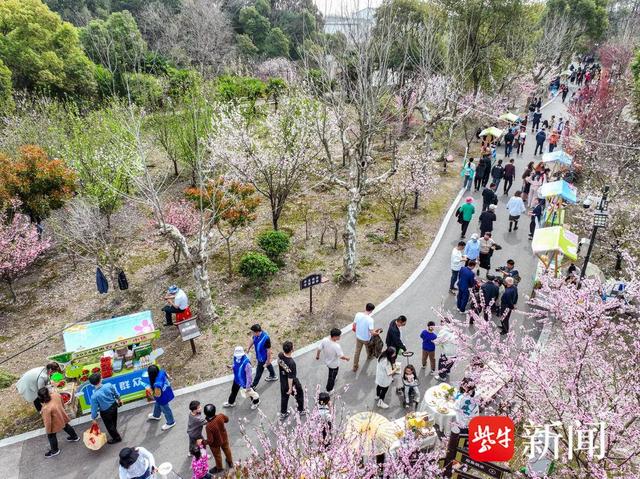 第十二届靖江西来桃花文旅月盛大开幕