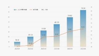 同比增长56% 奇瑞创历史半年度销量新高