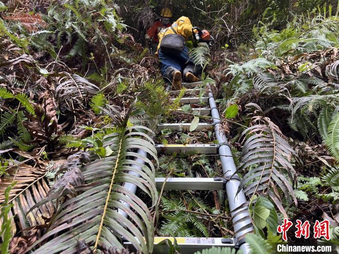 他们，为春运“砍出”安全通道