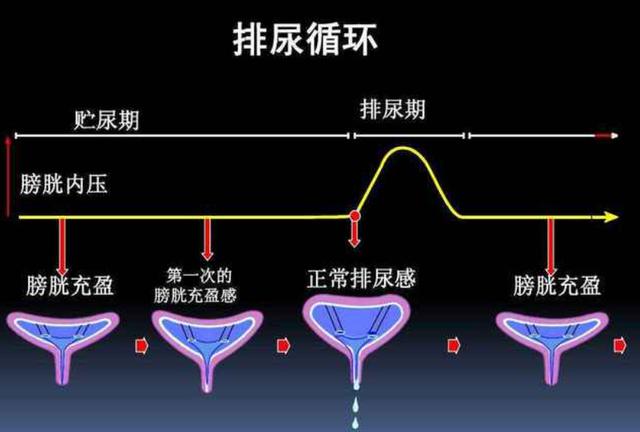 身体出现5个迹象，说明你吃“盐”太多了？赶紧限制还来得及哦