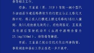 凉山一男子酒后驾驶机动车撞倒3人被刑事拘留