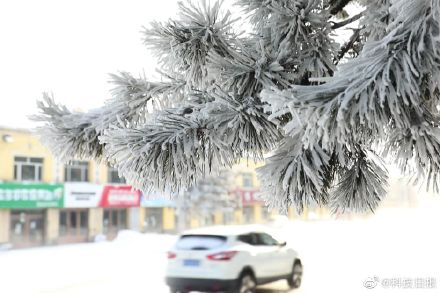 黑龙江漠河迎来极寒天气早晨最低气温降至-50℃以下