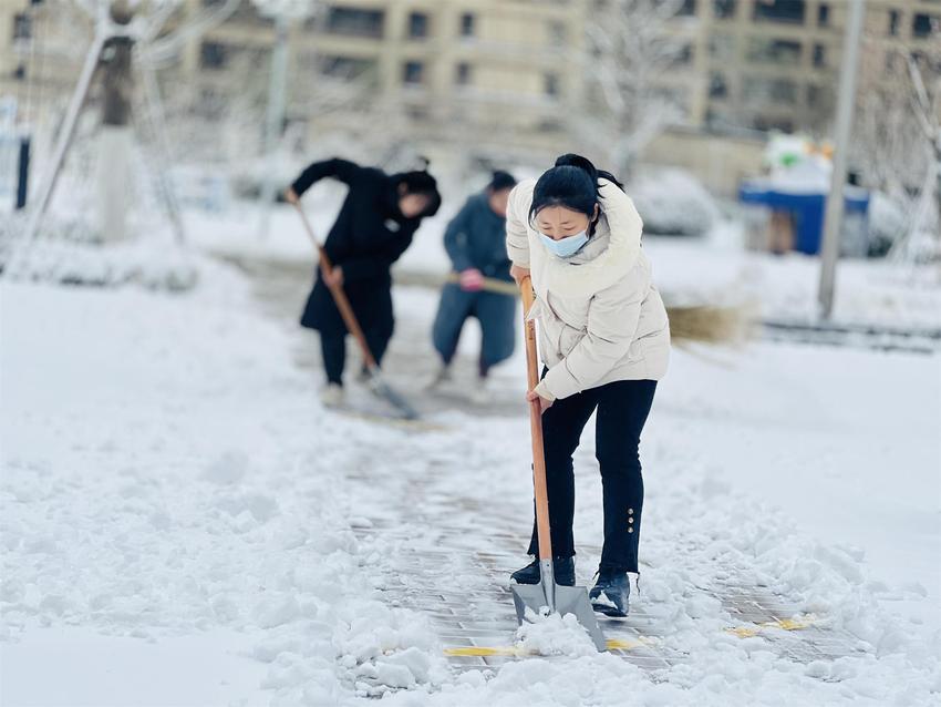 温情融冰雪 聚力暖人心 济南历下一幼开展除冰行动