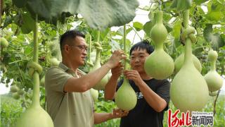 廊坊固安：工艺葫芦助农增收致富