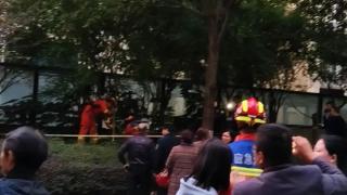 网民称“孩子坠入小区化粪池，爷爷施救身亡” 四川广元多部门回应