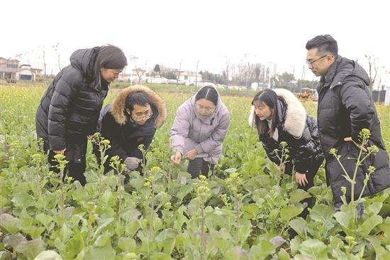 人勤春早备耕忙 田间地头故事多