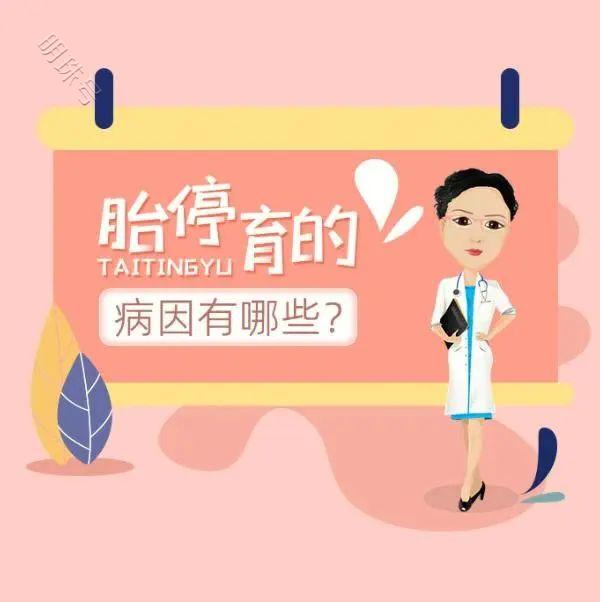 女性多次胎停，重视男性精子的检查