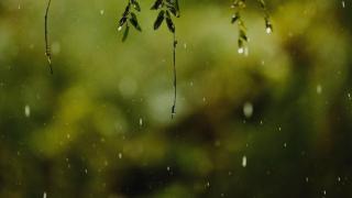 让人间爱守护生灵万物，让世间谷雨洒下一份暮雨