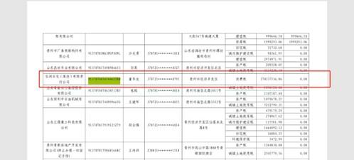 山东十强民企弘润石化登上“欠税清单”，欠税余额3.7亿元