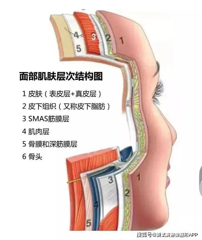 从神颜暮光女到瘦脱相放飞自我，33岁的她到底经历了什么？