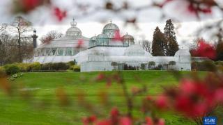 比利时：王家温室花园对公众开放