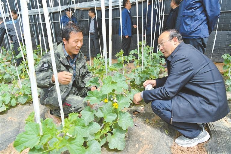 田间“把脉搏” 现场“开良方”