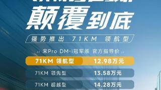 比亚迪也扛不住？宋Pro DM-i又推新车，压力给到友商