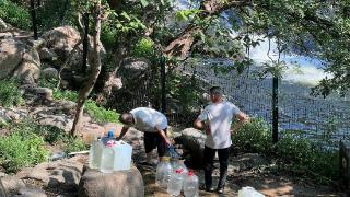 泰山脚下天外村，立秋打山水泡茶格外甜