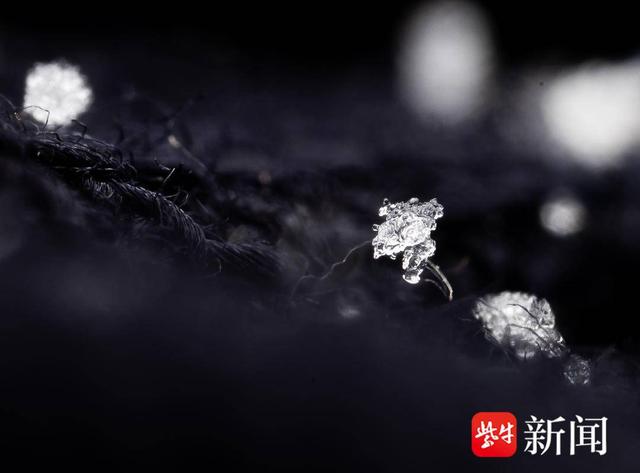 探秘微观世界下的雪花究竟长啥样