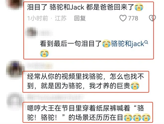 霍思燕晒9条宠物狗，透露骆驼和Jack已去世，网友纷纷泪目