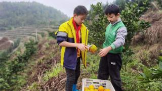 赣州会昌：农科教相结合  让劳动教育“落地生根”