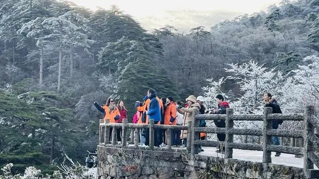 限量、预约、错峰，春节假期黄山风景区接待游客20.8万人