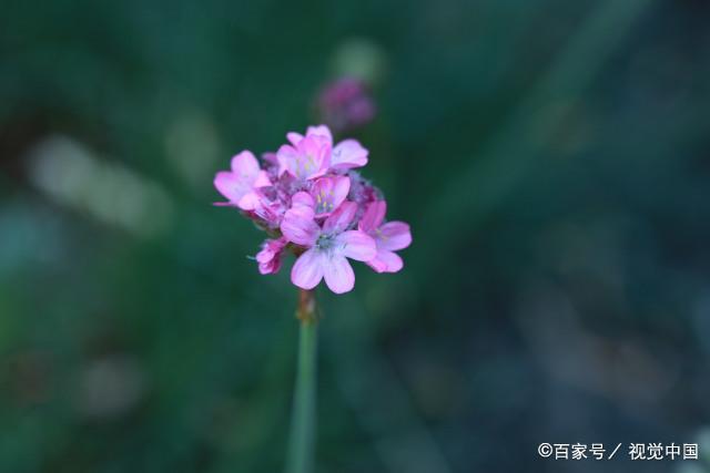 人老了，也需要好好宠自己，让余生活得更加值得，且有意义