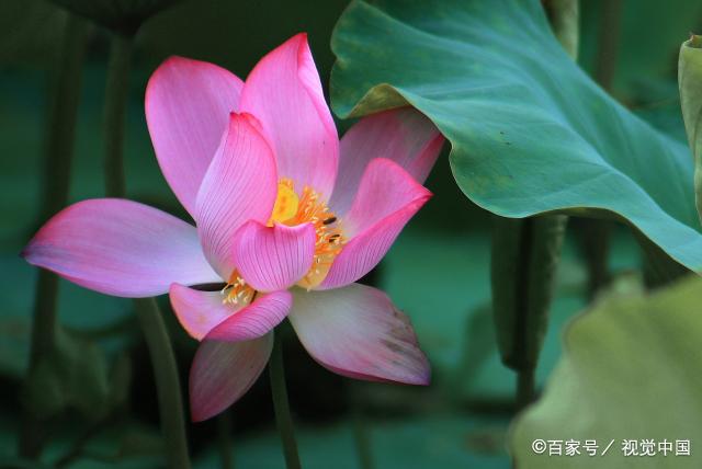 一个家里，有这些“穷迹象”，子女很难超越父母