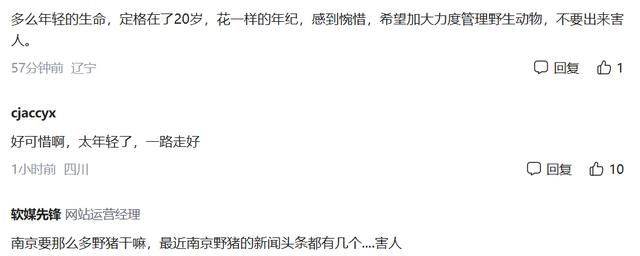 野猪撞击南京火车，致机械师下车检查被撞死，知情人：仅20多岁！