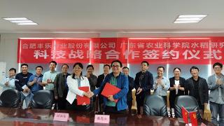 丰乐种业与广东农科院水稻研究所签署科技战略合作协议