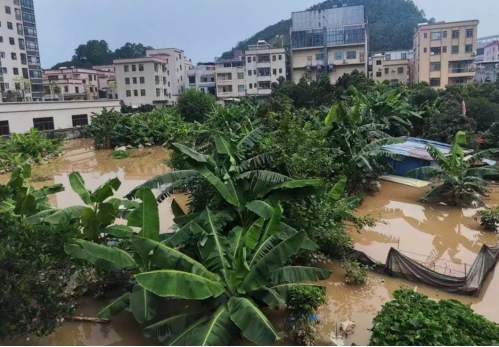 广州南沙：“小区居民再也不用担心水浸了！”