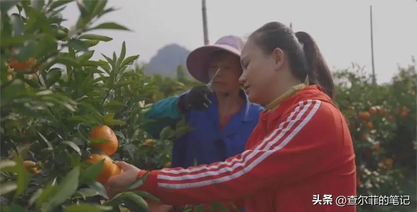 她是40岁广西妇女，从月薪3000到年入千万，开公司还上央视，为啥