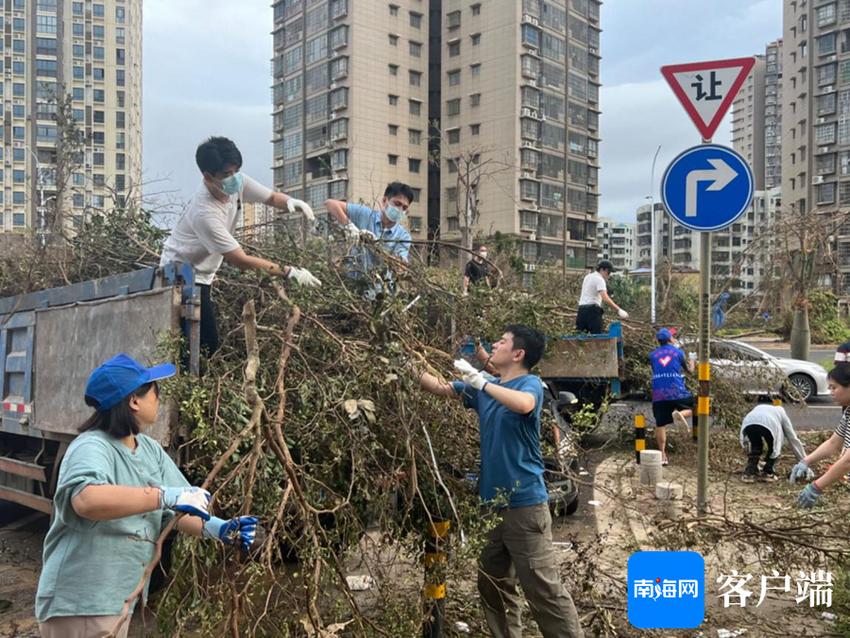 海南征信党支部全力支持海口灾后重建工作