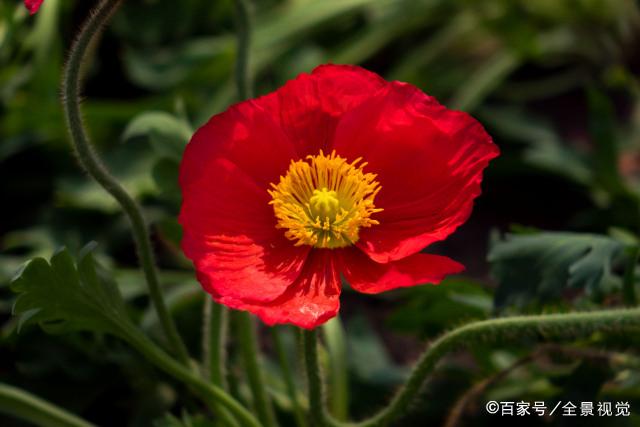 容易离婚的夫妻，不在于三观不合，而是出现这三种情形